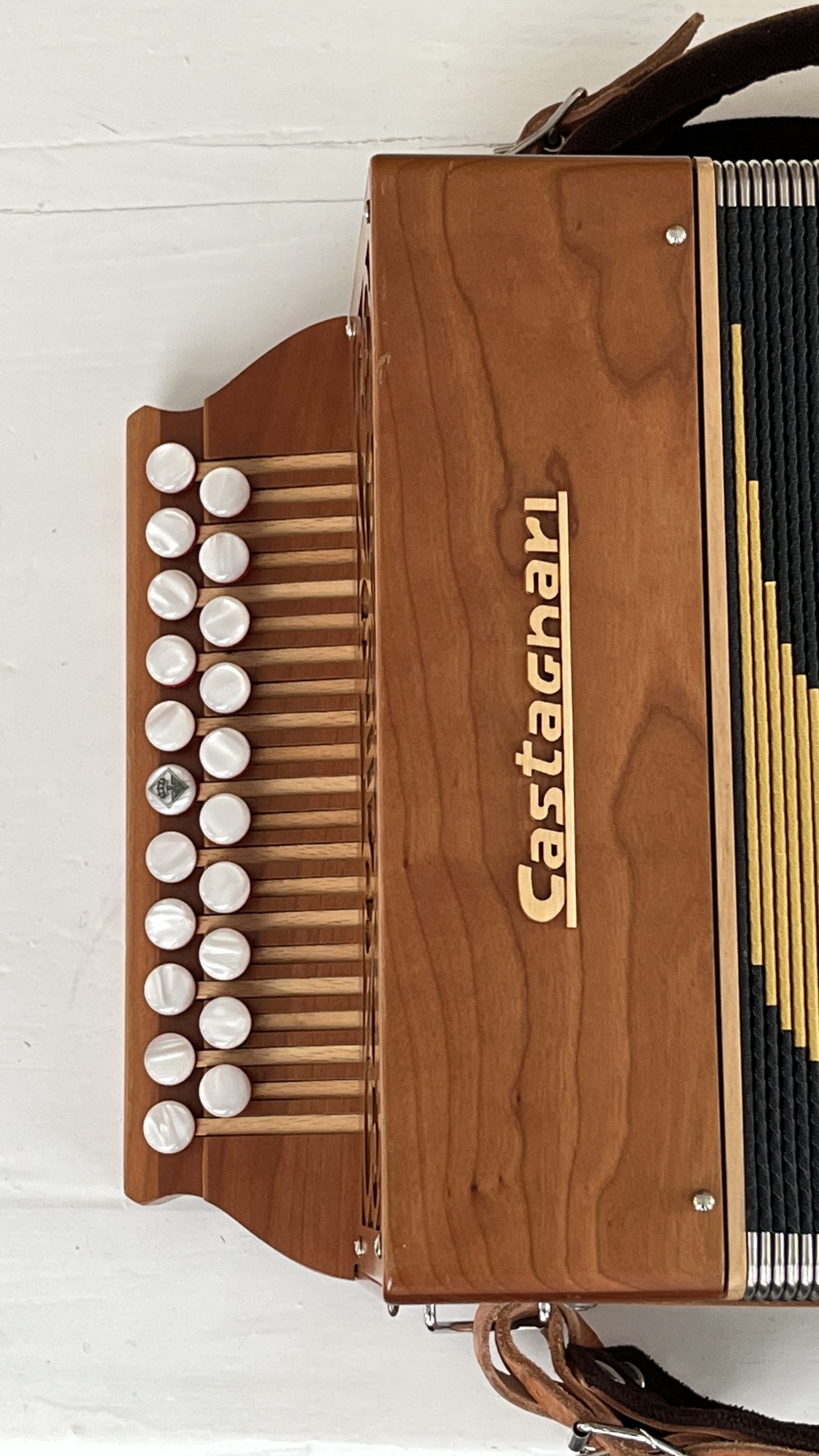 2-rivinen_Castagnari_harmonikka